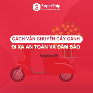 Cách vận chuyển cây cảnh đi xa an toàn và đảm bảo